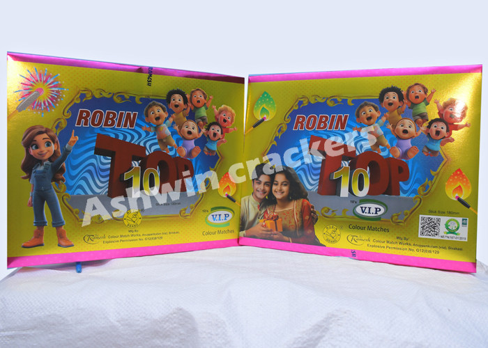 VIP 10 in 1 Laptop